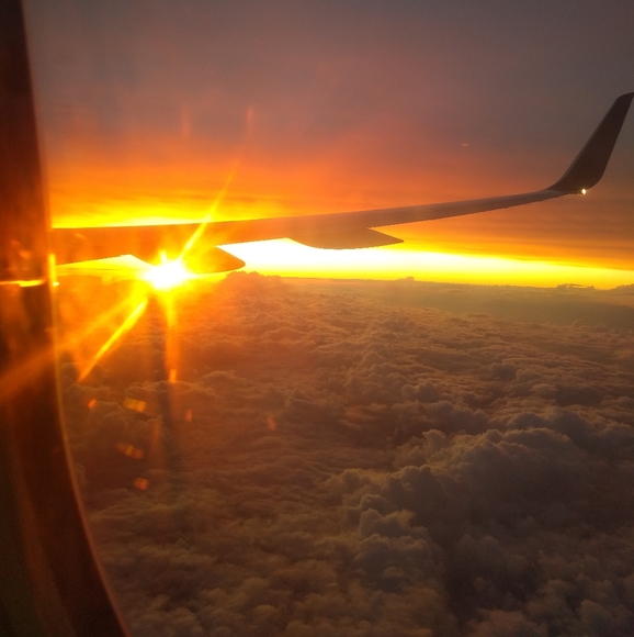 Meet your Posher, Star - Picture 7 of 8